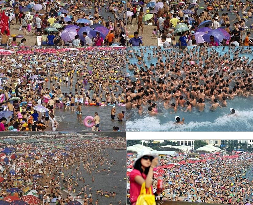 포스트의 이미지