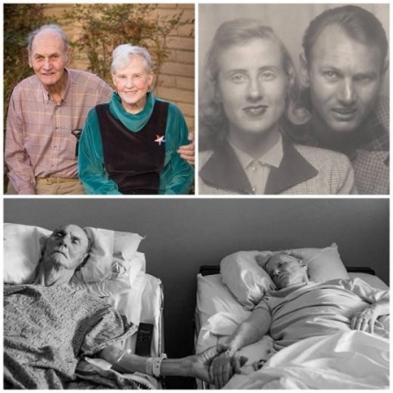 포스트의 이미지