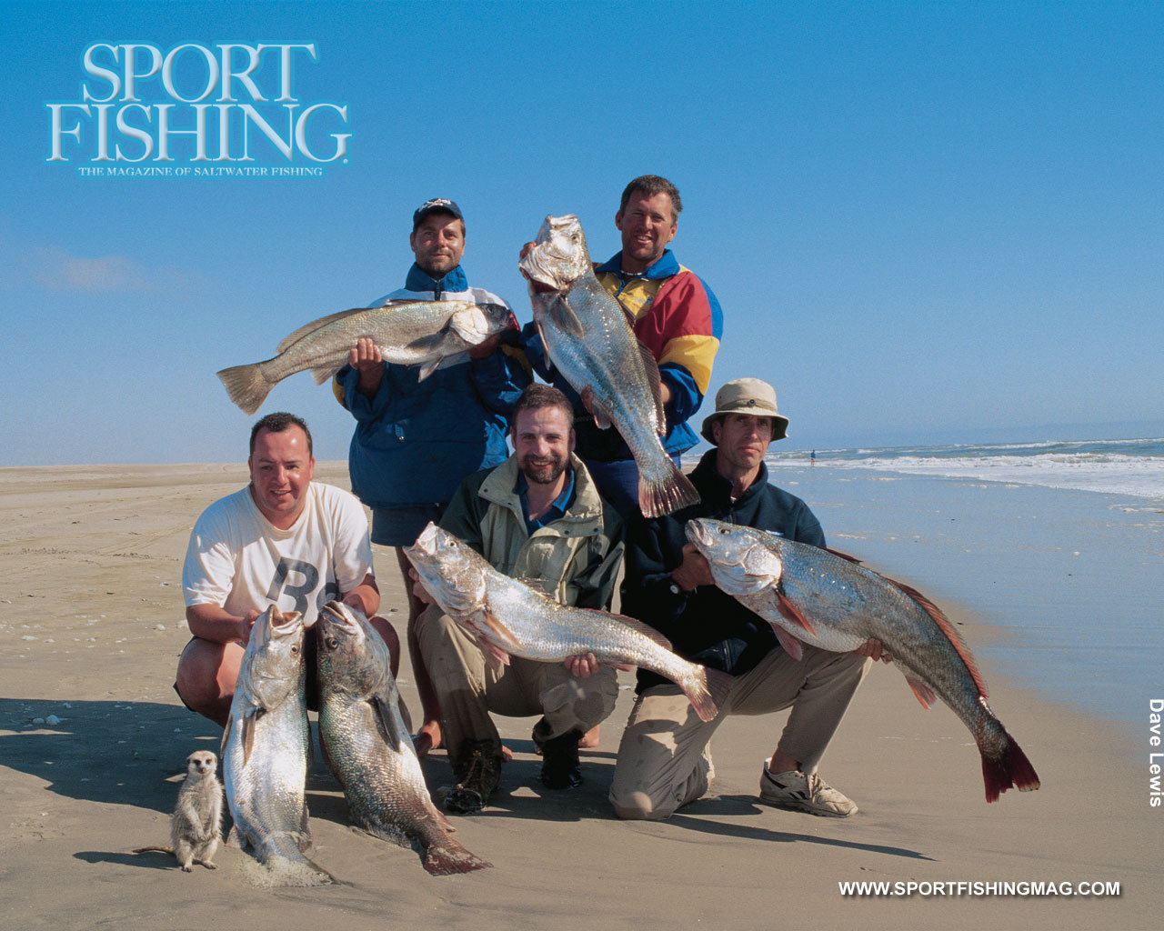 포스트의 이미지