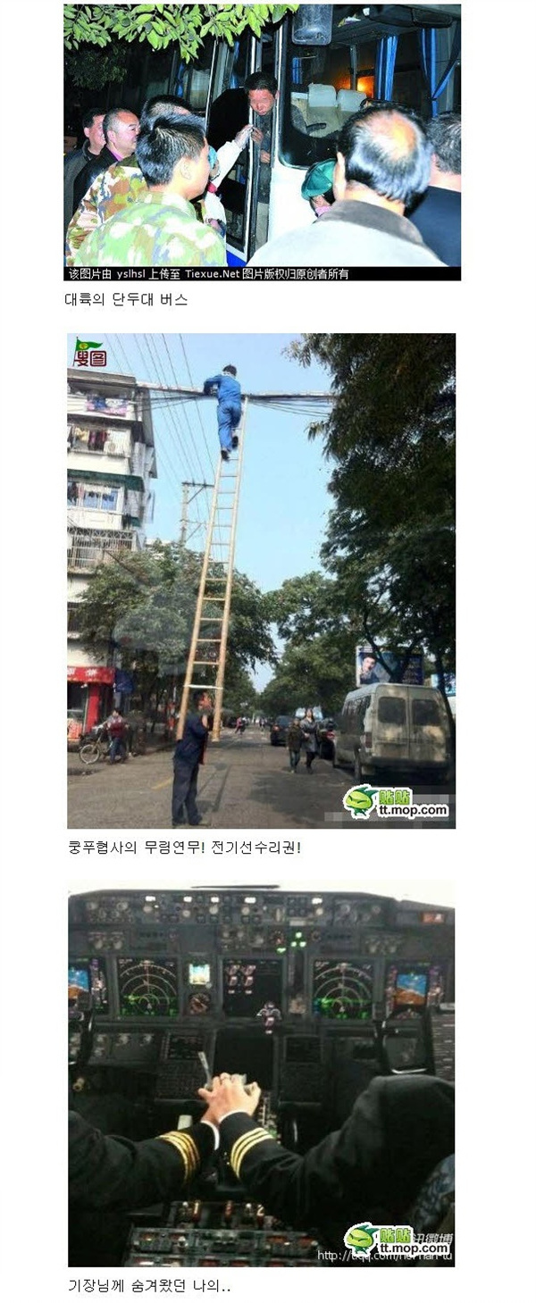 포스트의 이미지