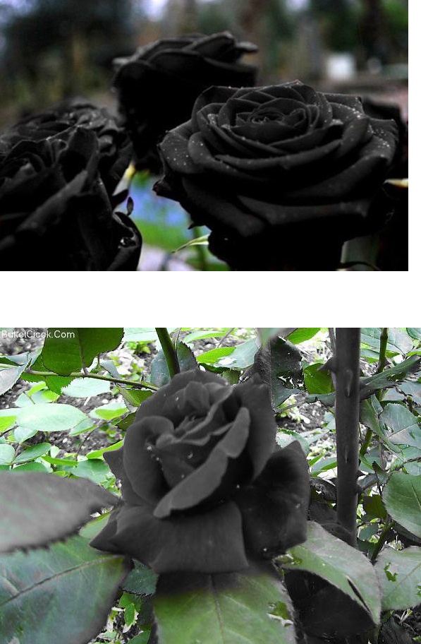 포스트의 이미지