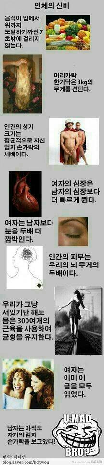 인체의 신비...