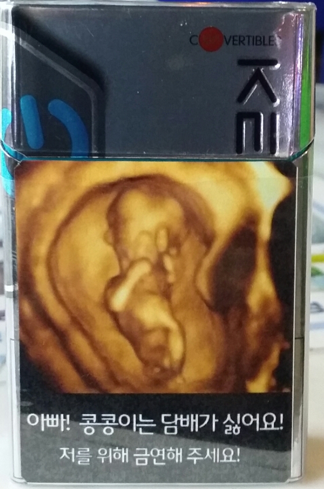 포스트의 이미지