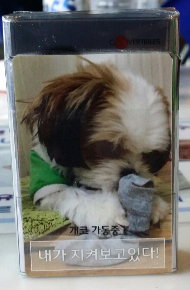 포스트의 이미지