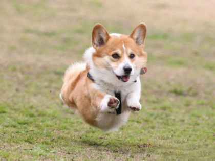 포스트의 이미지