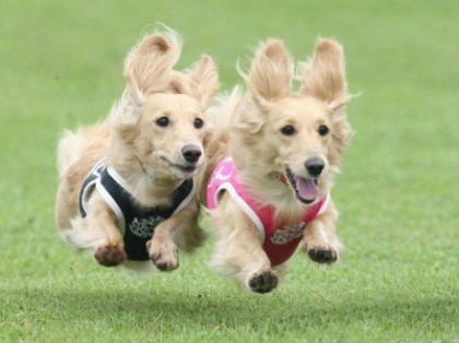 포스트의 이미지