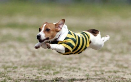 포스트의 이미지