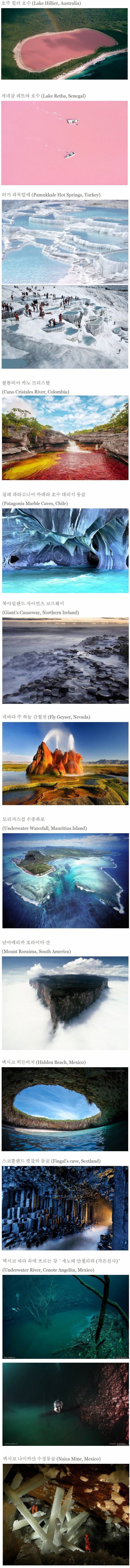 포스트의 이미지