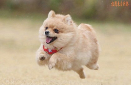 포스트의 이미지