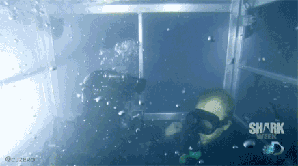 포스트의 이미지