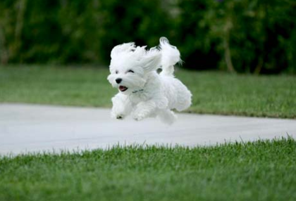 포스트의 이미지