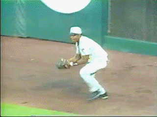 포스트의 이미지