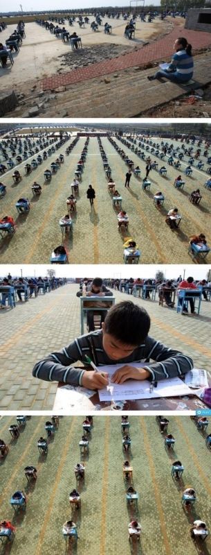 포스트의 이미지