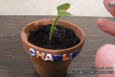 포스트의 이미지