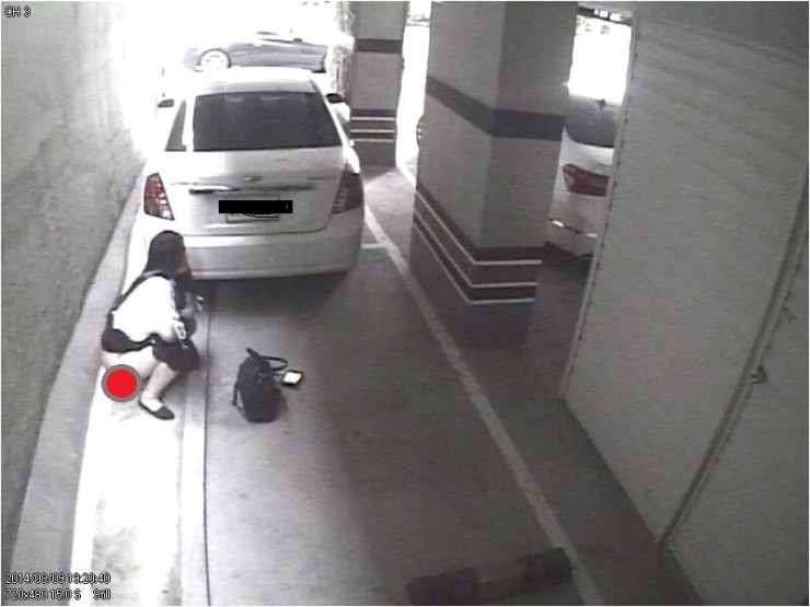 포스트의 이미지