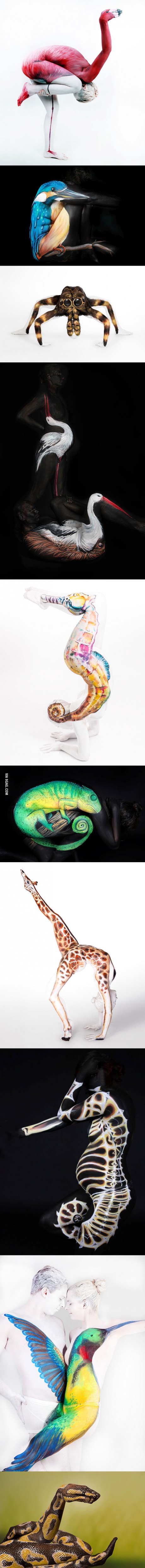 포스트의 이미지