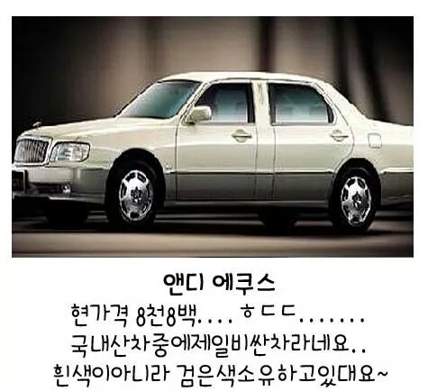 포스트의 이미지