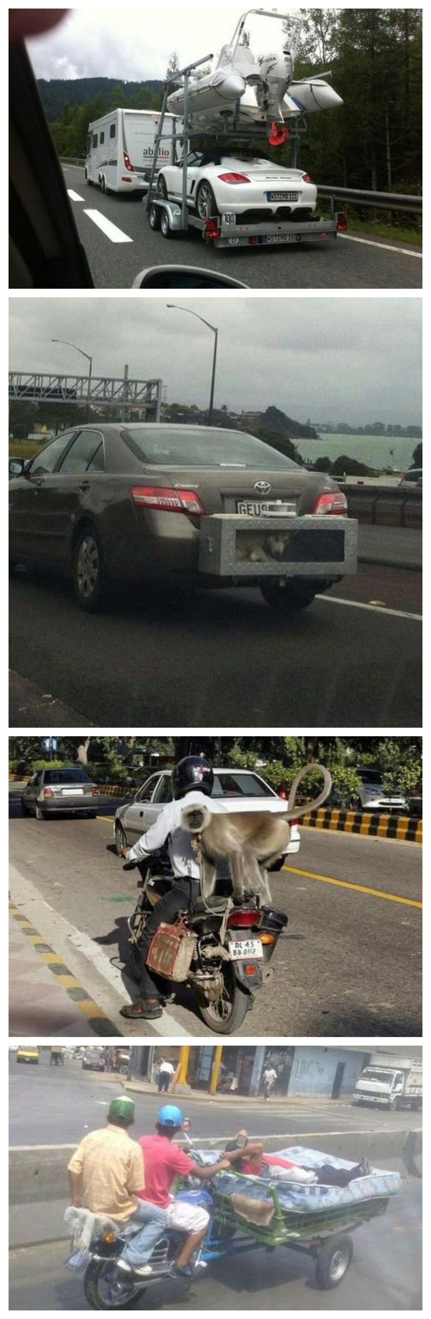 포스트의 이미지