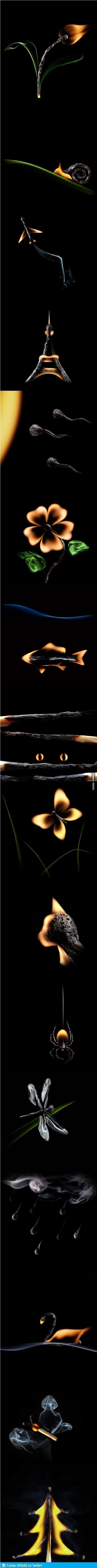 포스트의 이미지