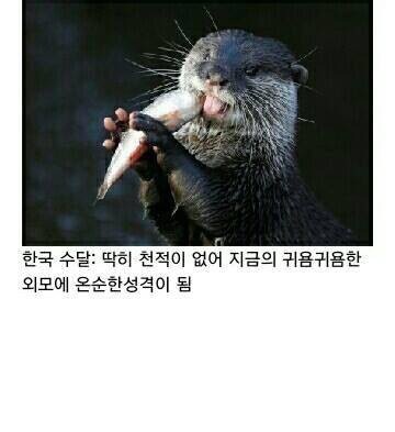 포스트의 이미지