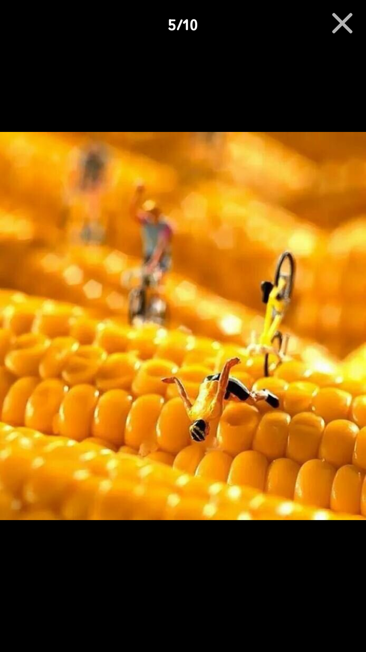 포스트의 이미지