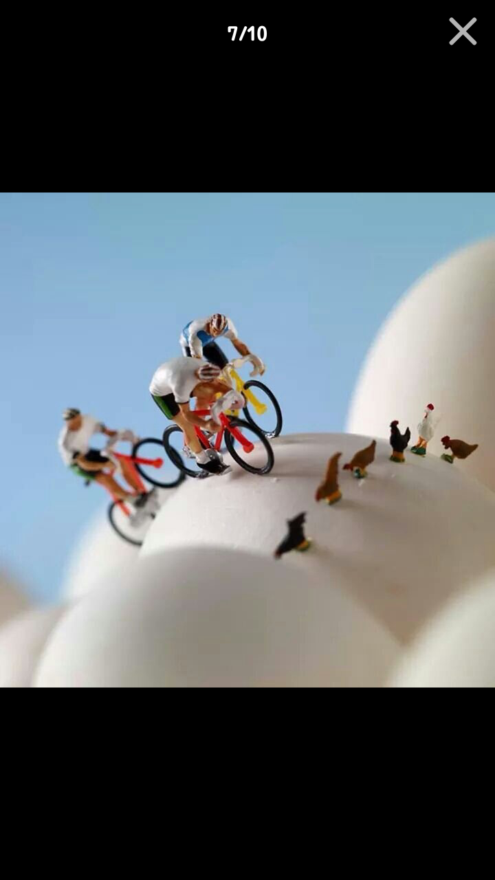 포스트의 이미지