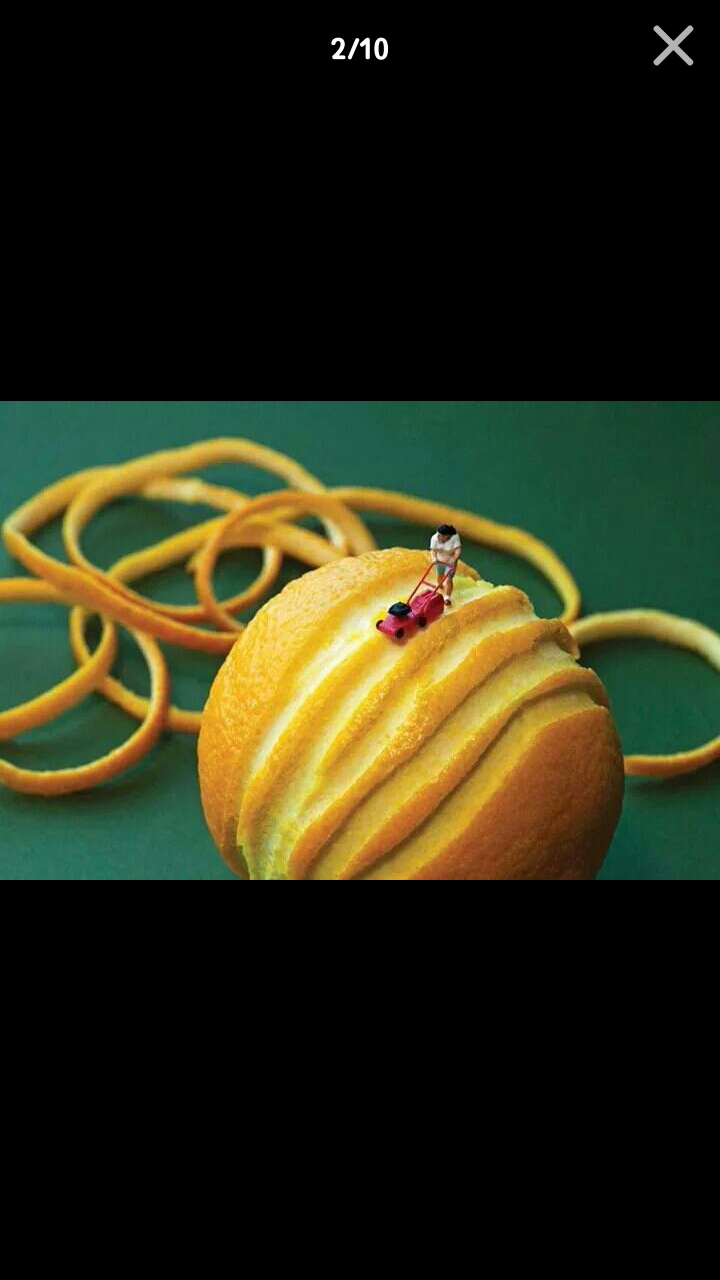 포스트의 이미지