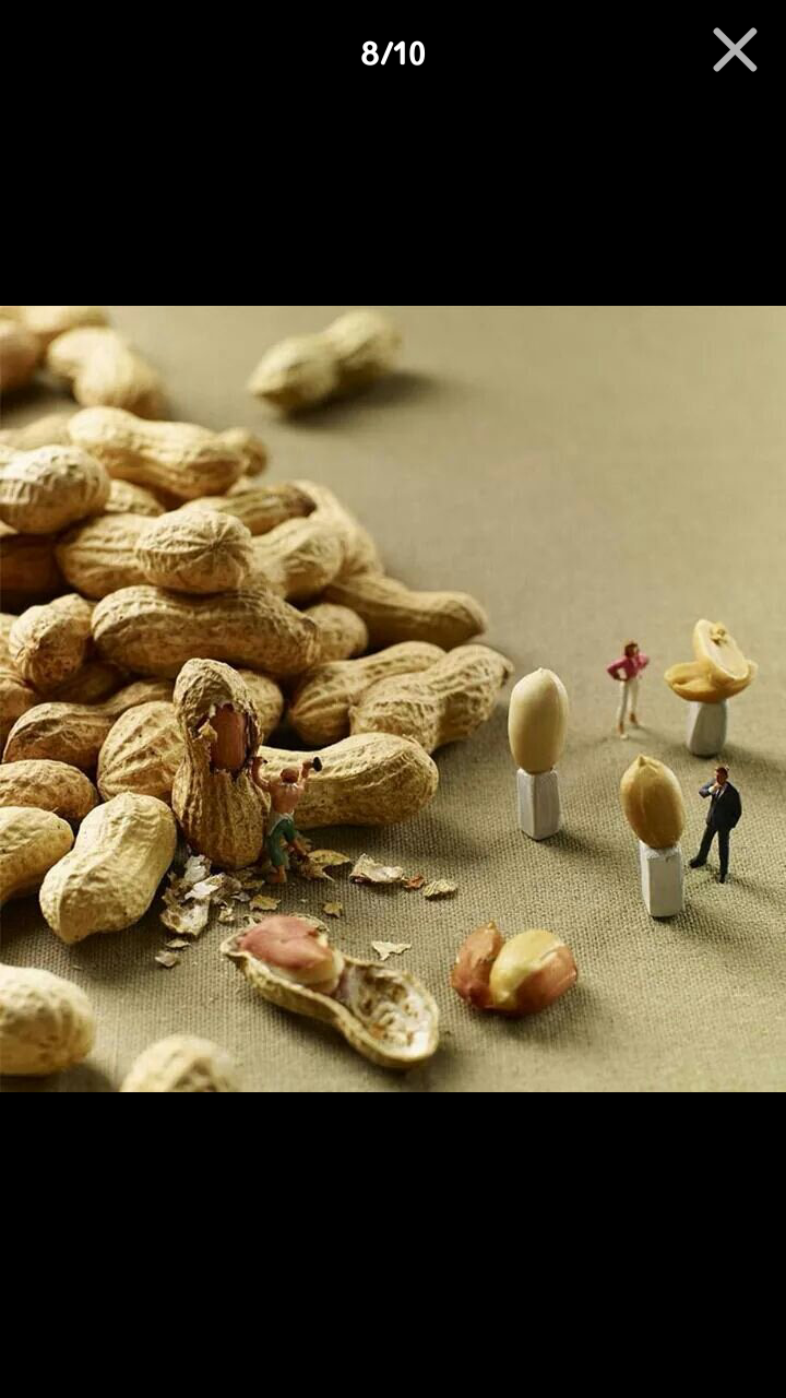 포스트의 이미지