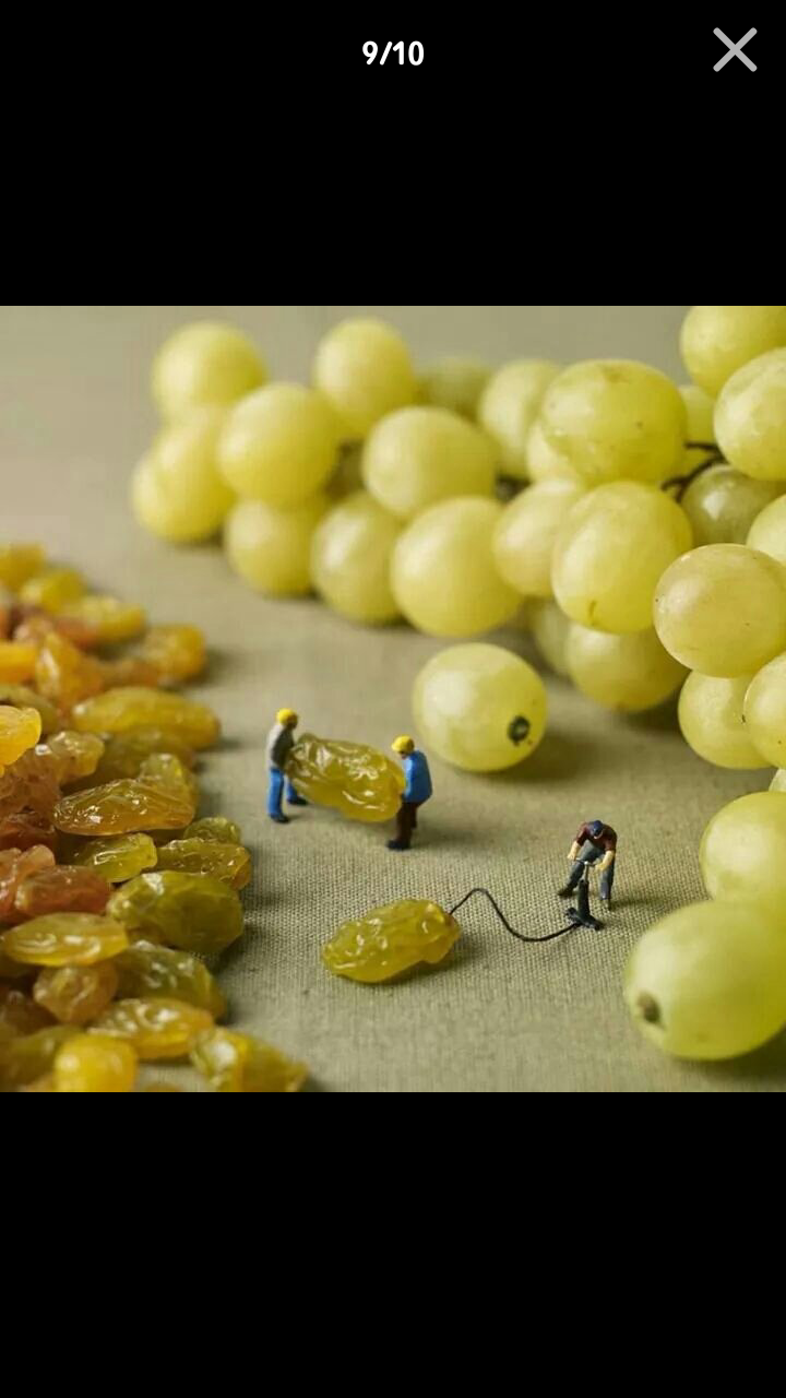 포스트의 이미지