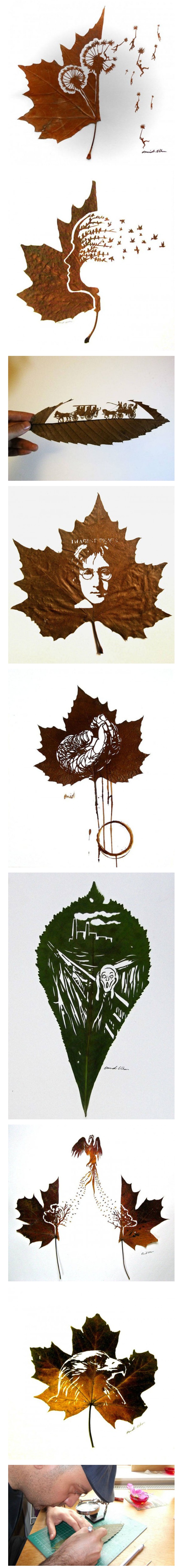 포스트의 이미지