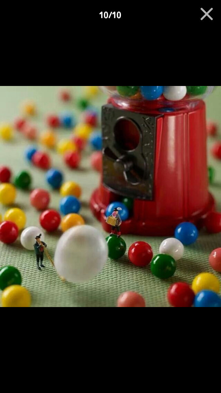 포스트의 이미지