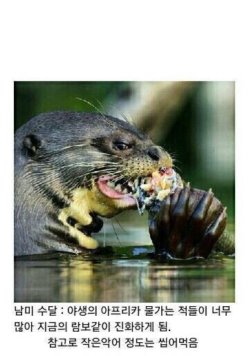 포스트의 이미지