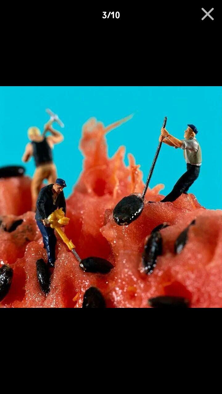 포스트의 이미지