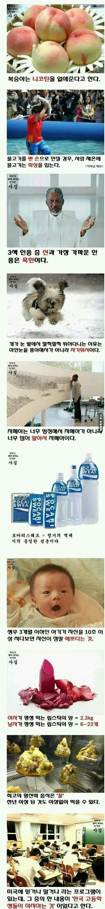 포스트의 이미지