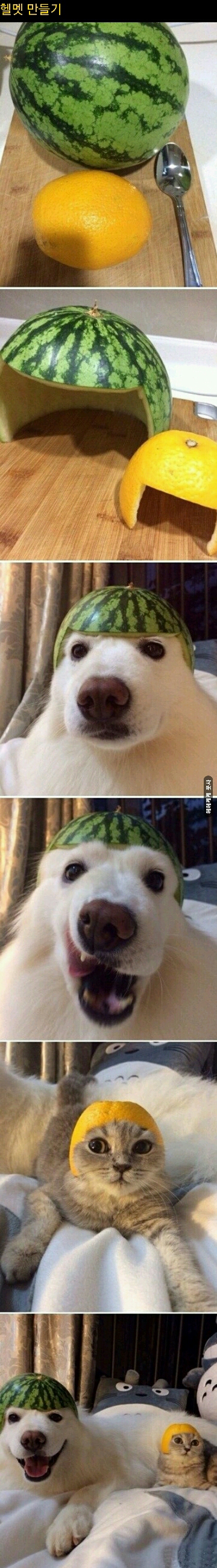 포스트의 이미지