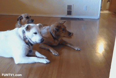 포스트의 이미지