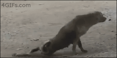 유주얼서스펙트