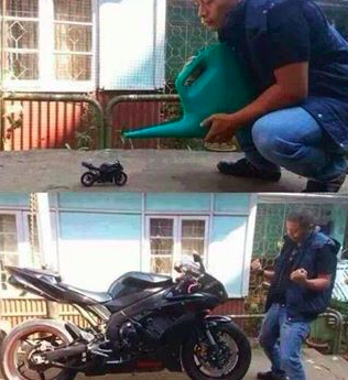 포스트의 이미지