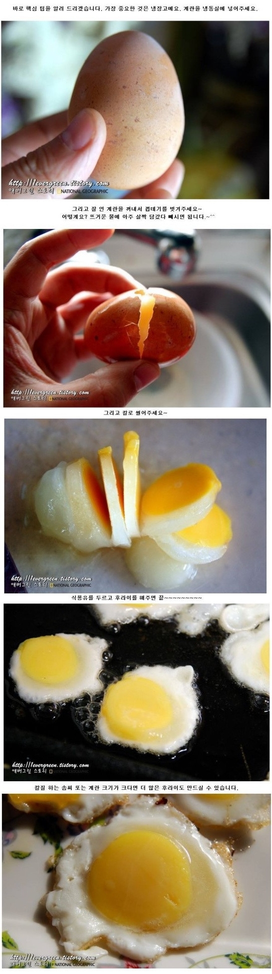 포스트의 이미지