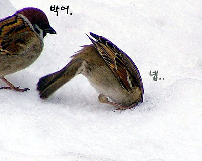 포스트의 이미지