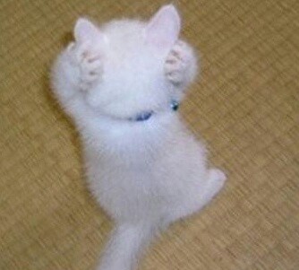 포스트의 이미지