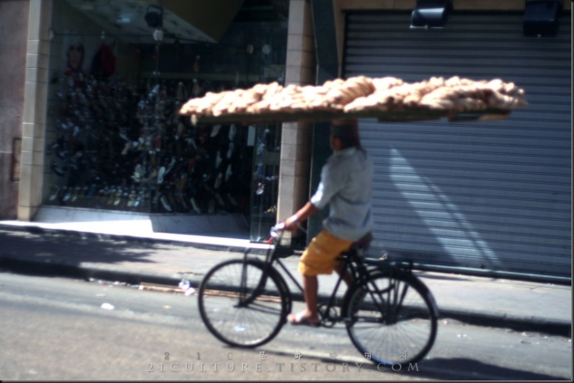 포스트의 이미지