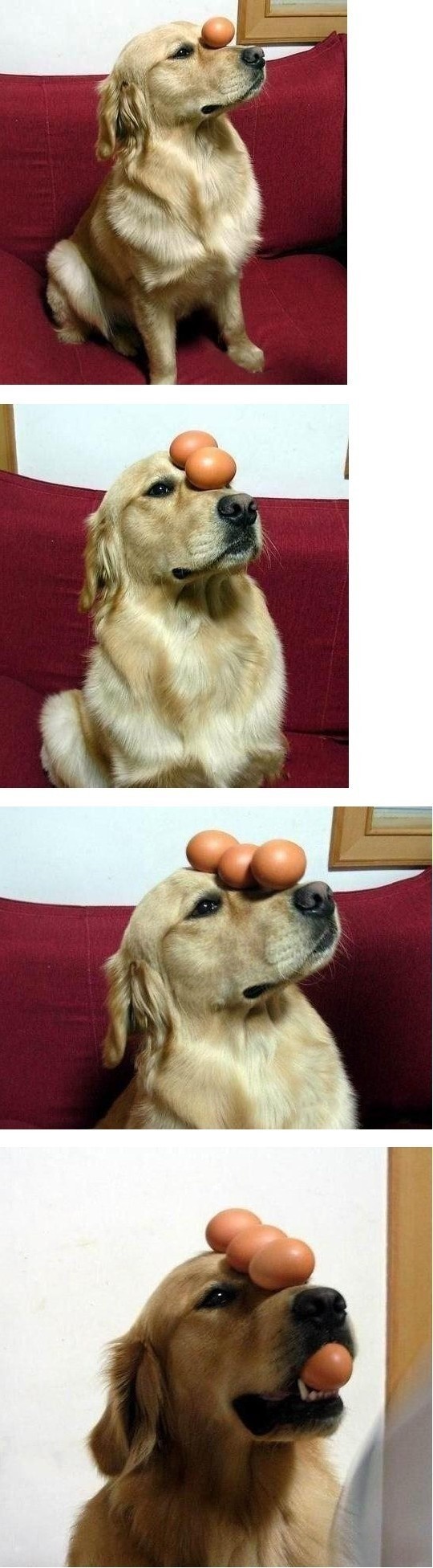 포스트의 이미지