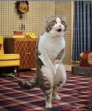 포스트의 이미지