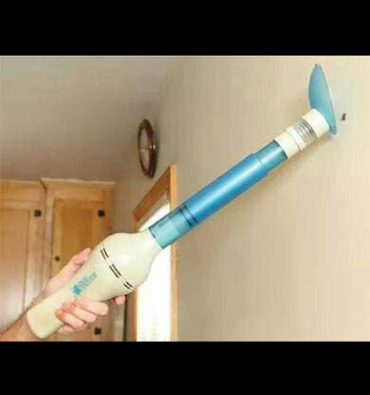 포스트의 이미지