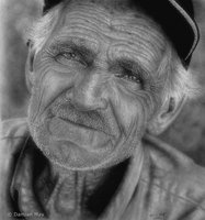 포스트의 이미지