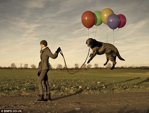 포스트의 이미지