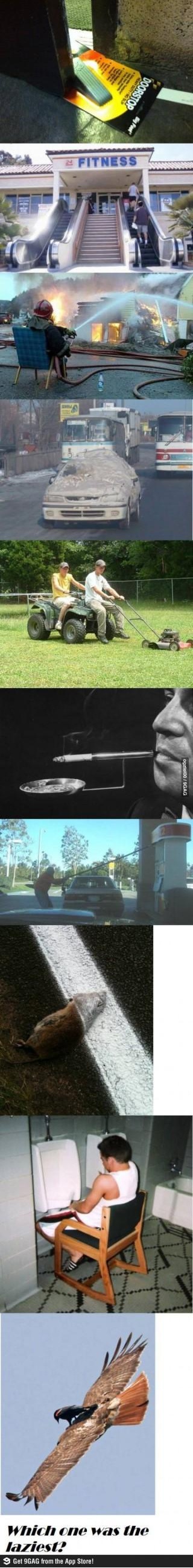 포스트의 이미지