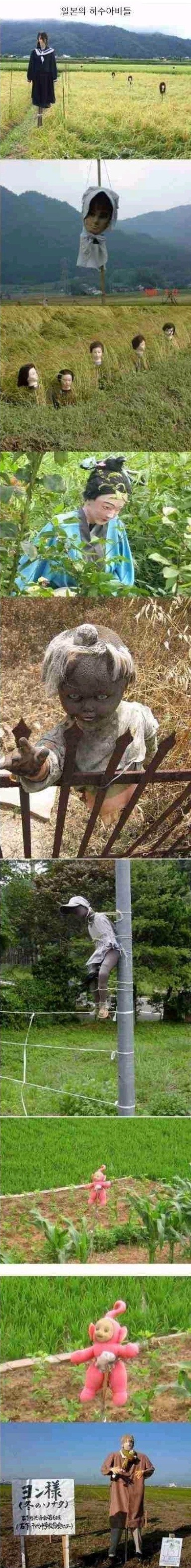 포스트의 이미지