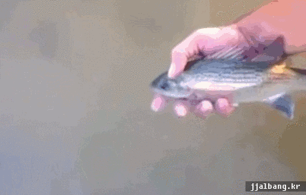 포스트의 이미지